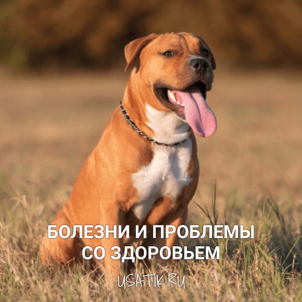 Болезни и проблемы со здоровьем