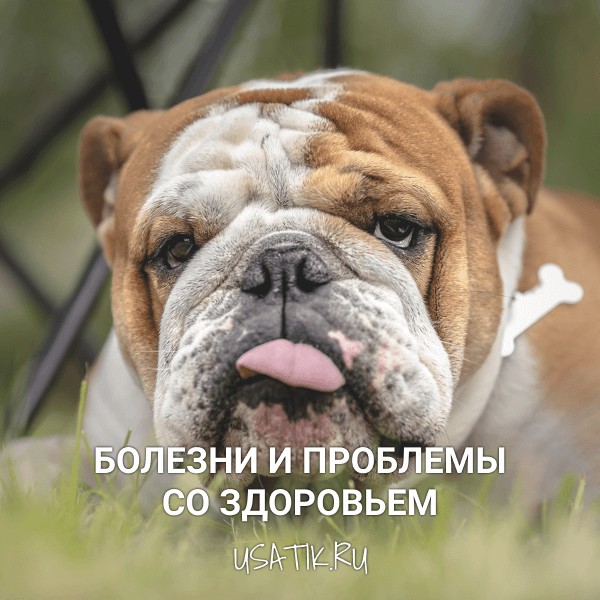 Болезни и проблемы со здоровьем