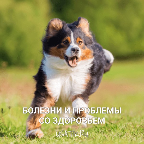 Болезни и проблемы со здоровьем