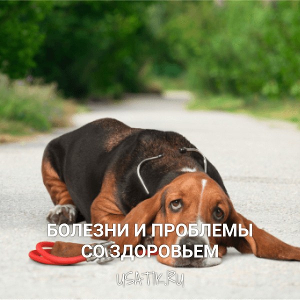 Болезни и проблемы со здоровьем