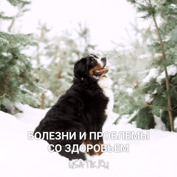 Болезни и проблемы со здоровьем