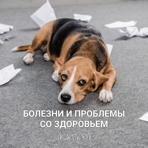 Болезни и проблемы со здоровьем