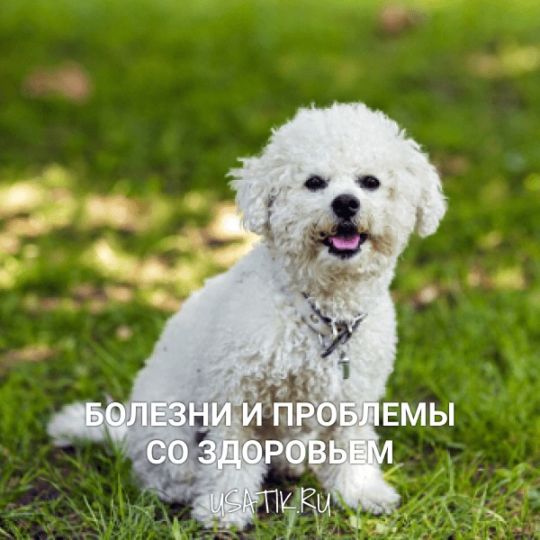 Болезни и проблемы со здоровьем