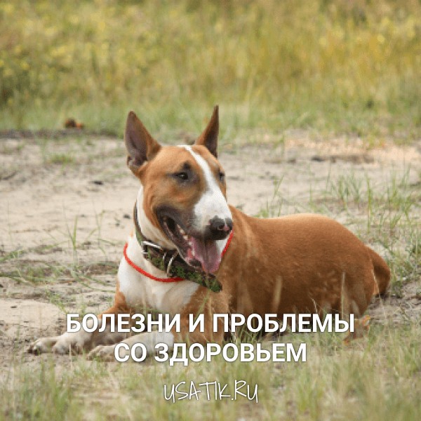 Болезни и проблемы со здоровьем