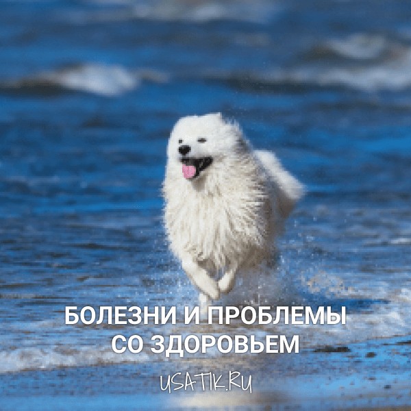 Болезни и проблемы со здоровьем