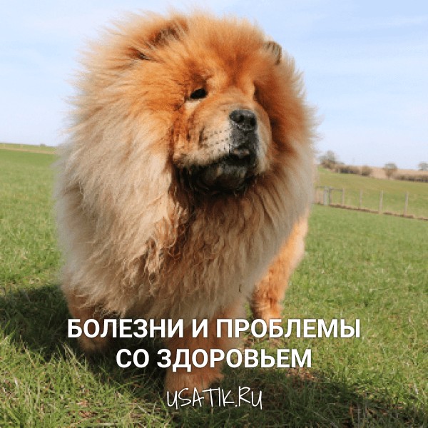 Болезни и проблемы со здоровьем