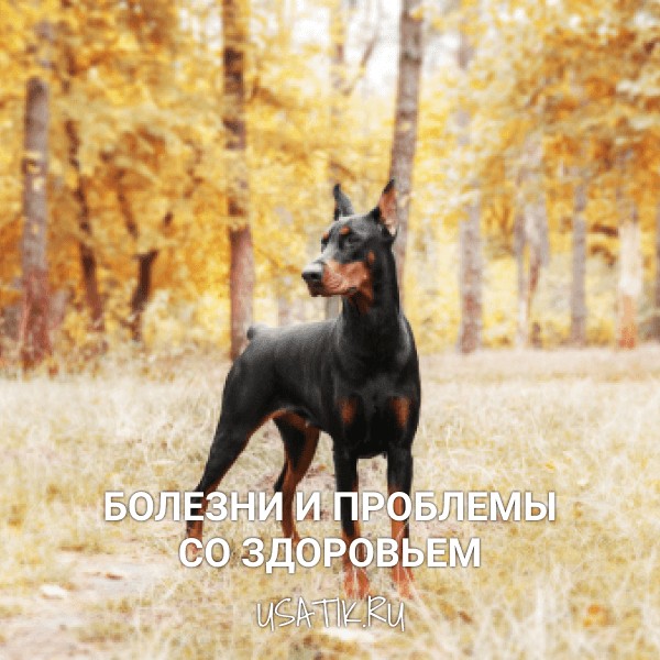 Болезни и проблемы со здоровьем