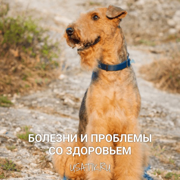 Болезни и проблемы со здоровьем