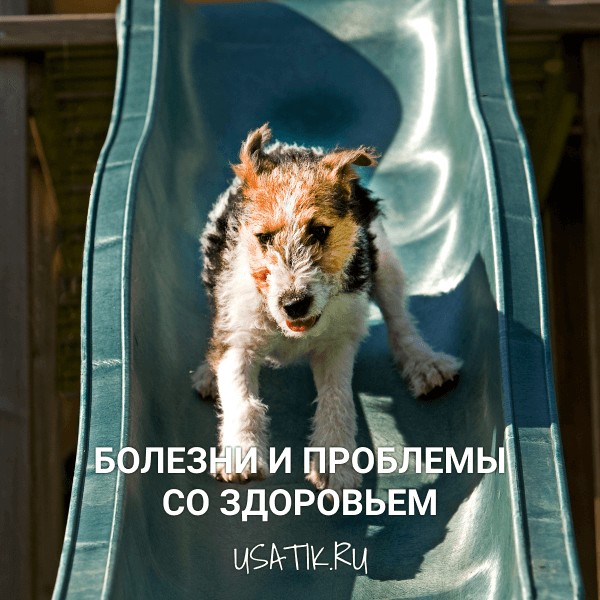 Болезни и проблемы со здоровьем