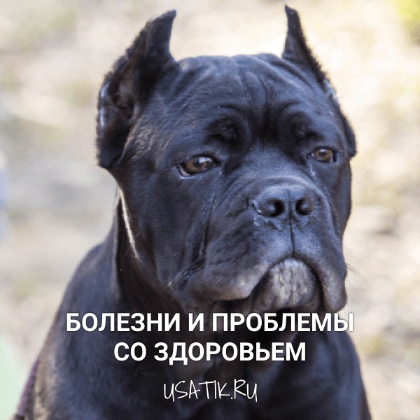 Болезни и проблемы со здоровьем