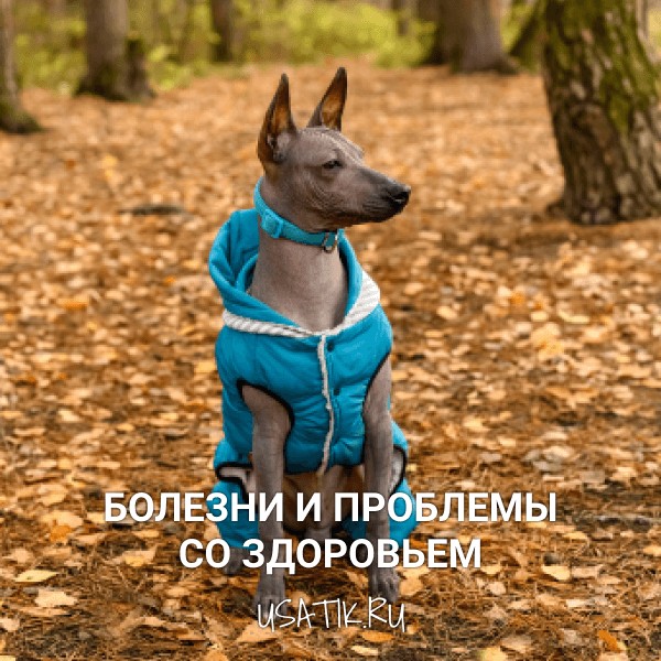 Болезни и проблемы со здоровьем