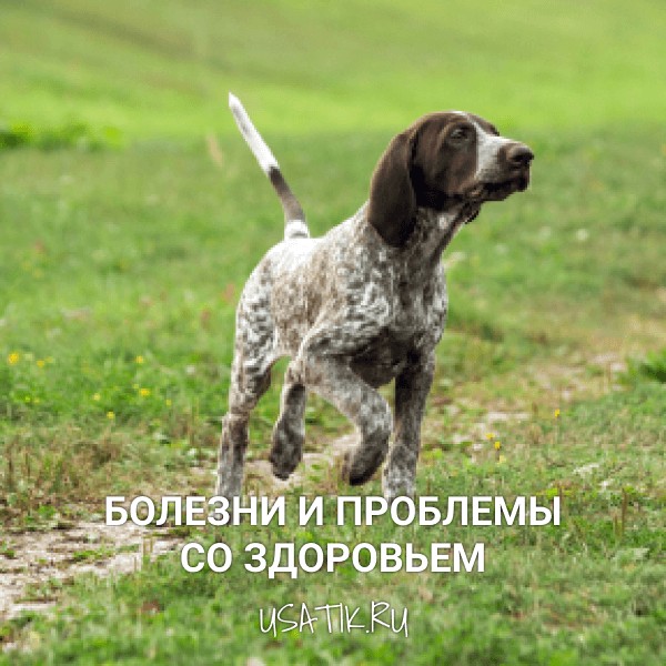 Болезни и проблемы со здоровьем