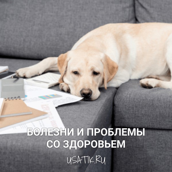 Болезни и проблемы со здоровьем