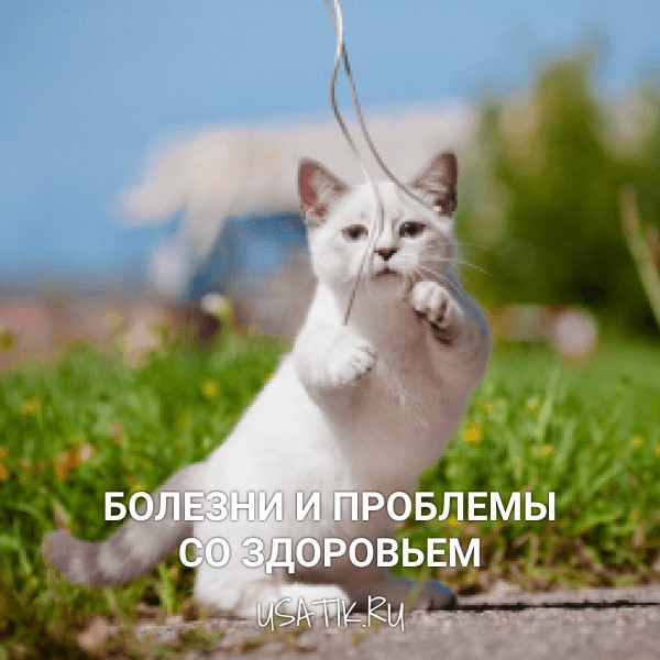 Болезни и проблемы со здоровьем