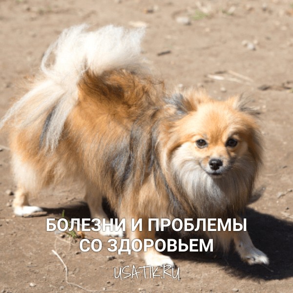 Болезни и проблемы со здоровьем