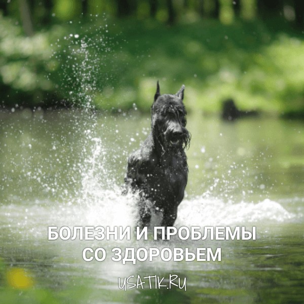 Болезни и проблемы со здоровьем