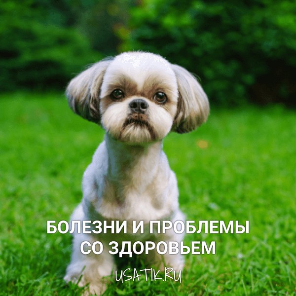 Болезни и проблемы со здоровьем