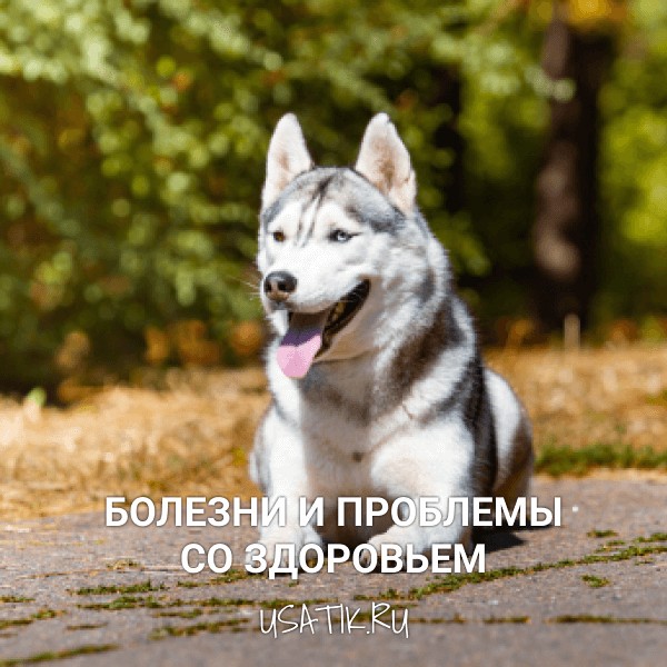 Болезни и проблемы со здоровьем