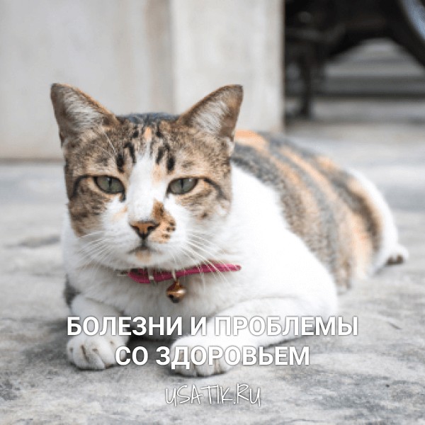 Болезни и проблемы со здоровьем