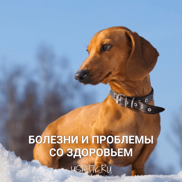 Болезни и проблемы со здоровьем