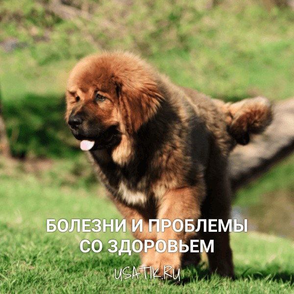 Болезни и проблемы со здоровьем