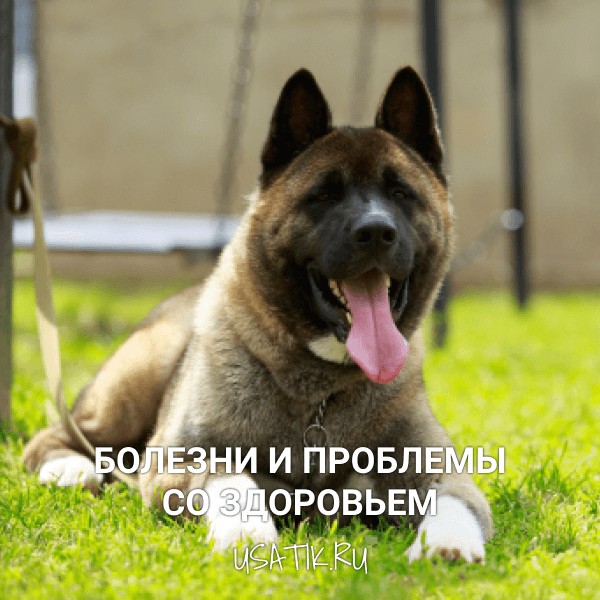 Болезни и проблемы со здоровьем