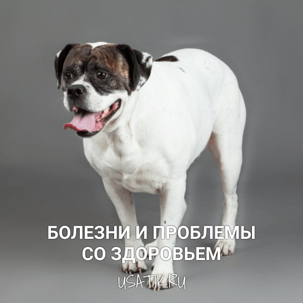 Болезни и проблемы со здоровьем