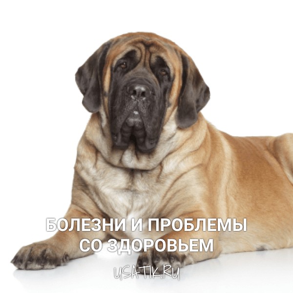 Болезни и проблемы со здоровьем