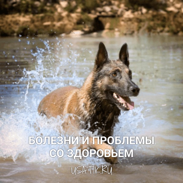 Болезни и проблемы со здоровьем