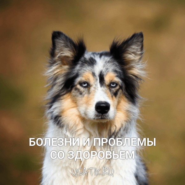 Болезни и проблемы со здоровьем