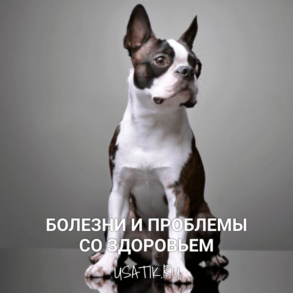 Болезни и проблемы со здоровьем