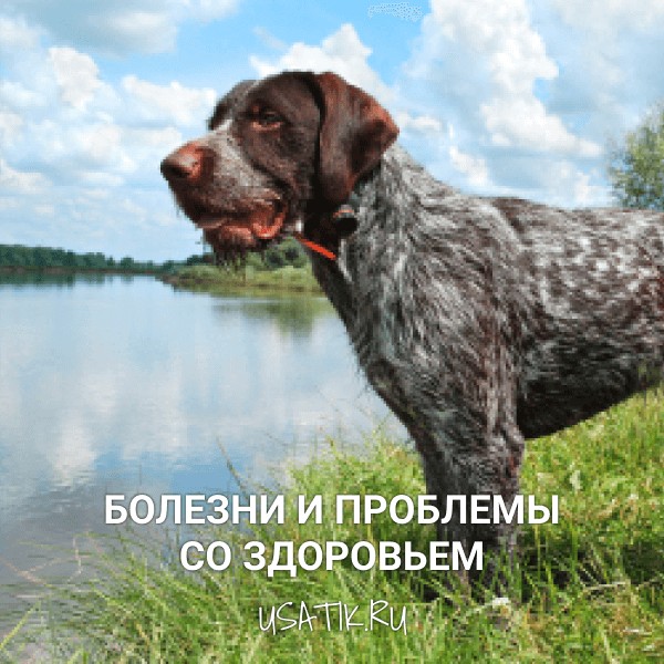 Болезни и проблемы со здоровьем