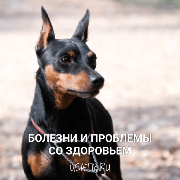 Болезни и проблемы со здоровьем