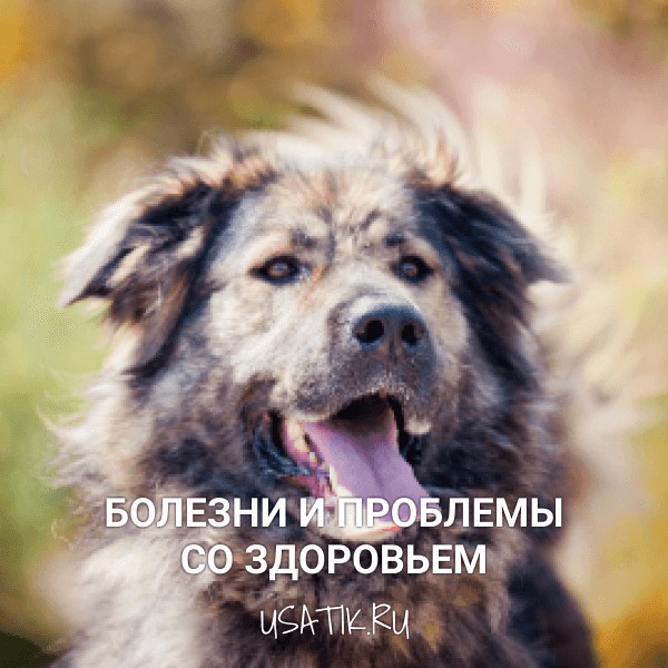 Болезни и проблемы со здоровьем