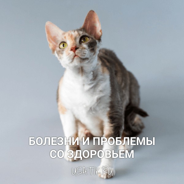 Болезни и проблемы со здоровьем