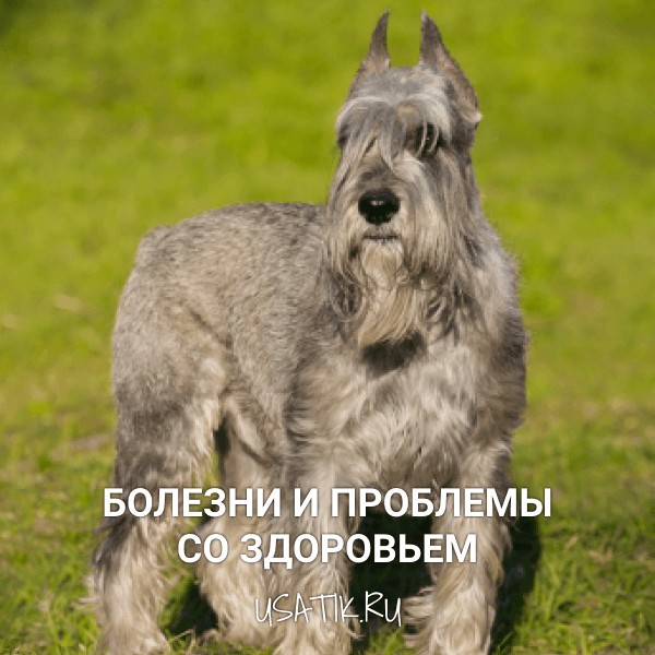 Болезни и проблемы со здоровьем