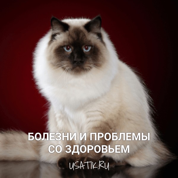 Болезни и проблемы со здоровьем