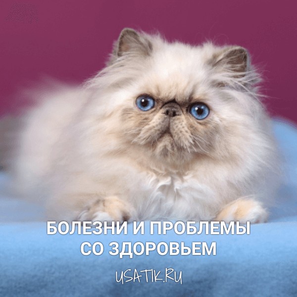 Болезни и проблемы со здоровьем