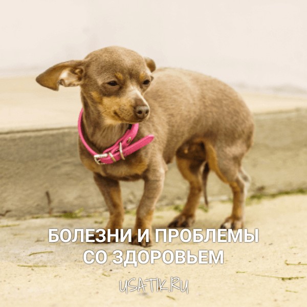 Болезни и проблемы со здоровьем