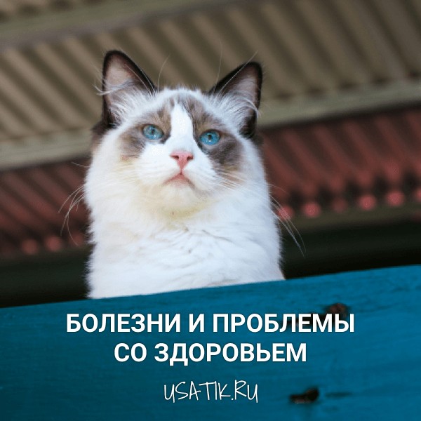 Болезни и проблемы со здоровьем