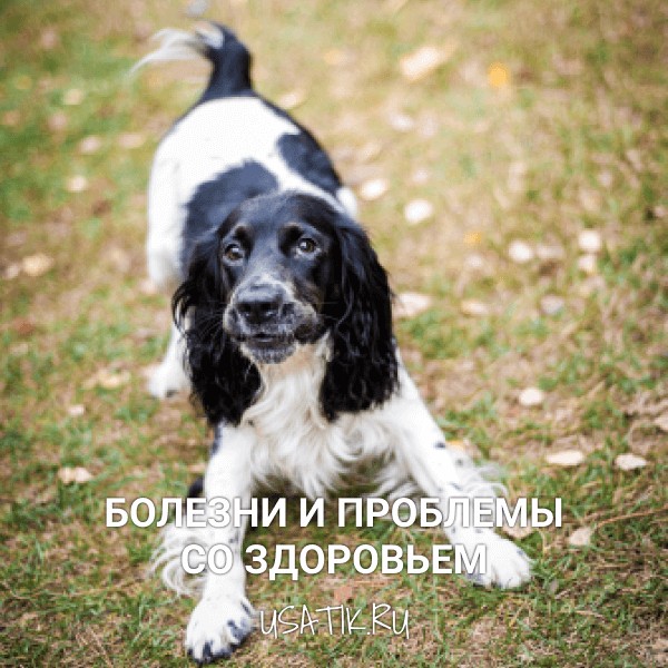 Болезни и проблемы со здоровьем