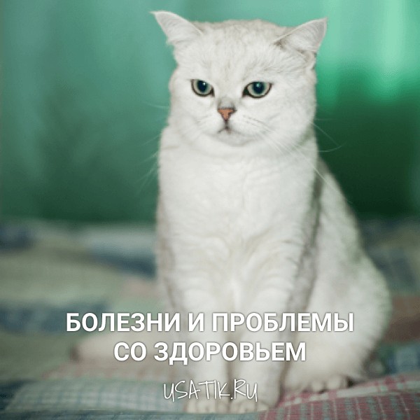 Болезни и проблемы со здоровьем