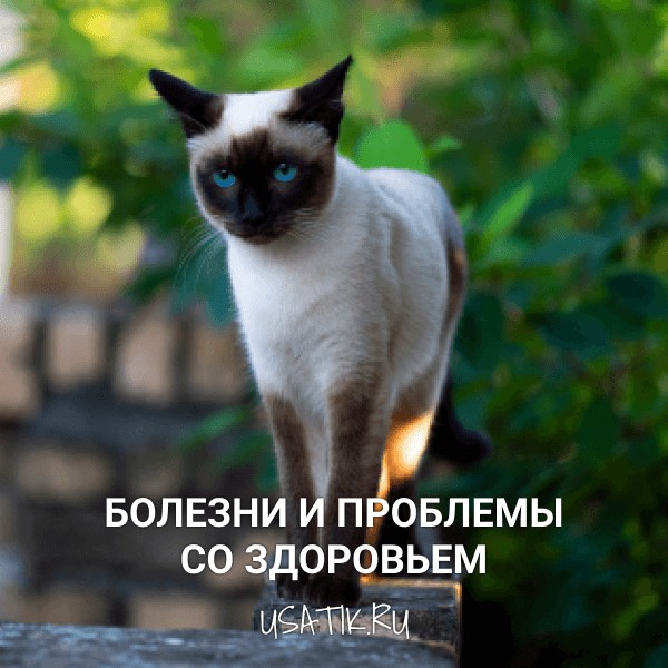 Болезни и проблемы со здоровьем