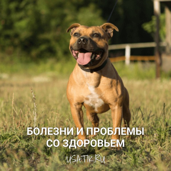 Болезни и проблемы со здоровьем