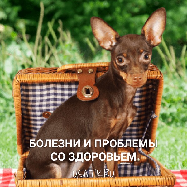 Болезни и проблемы со здоровьем