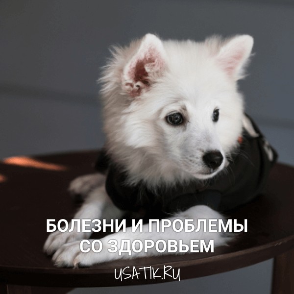 Болезни и проблемы со здоровьем