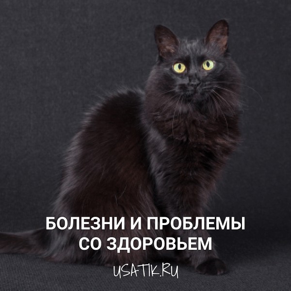 Болезни и проблемы со здоровьем