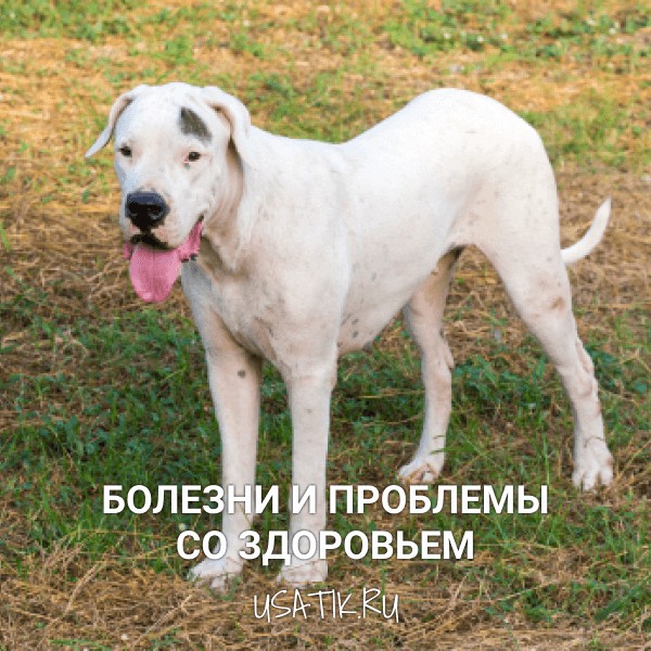 Болезни и проблемы со здоровьем