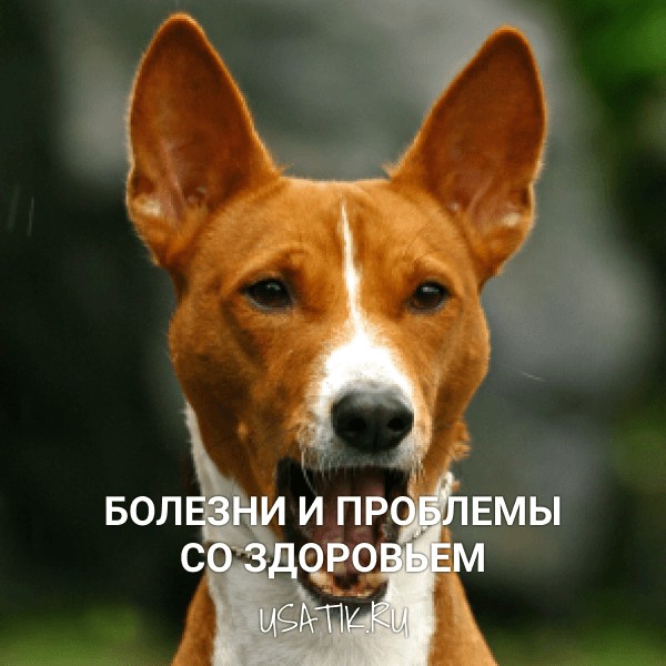 Болезни и проблемы со здоровьем