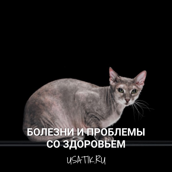 Болезни и проблемы со здоровьем